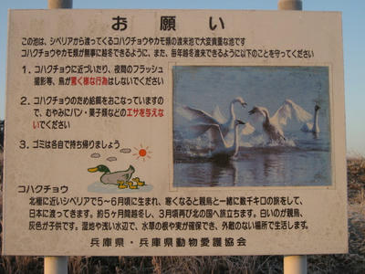 030_1.JPG