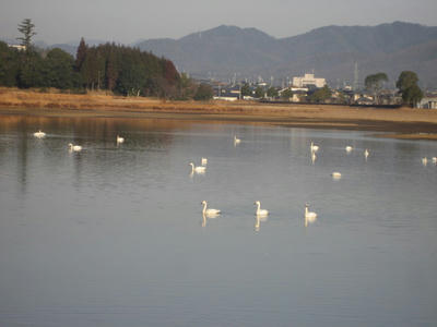 f0c2e759.JPG