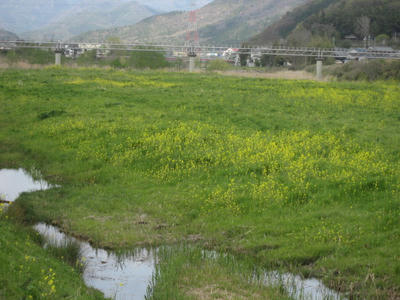 c2915000.JPG