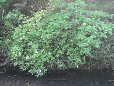 b8058c7a.JPG