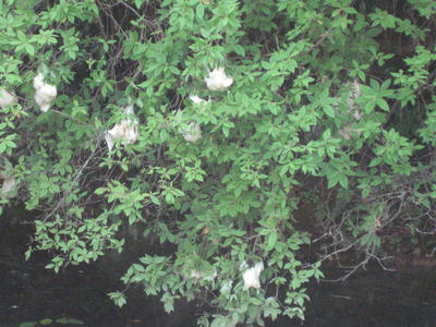 cd5d14d5.JPG
