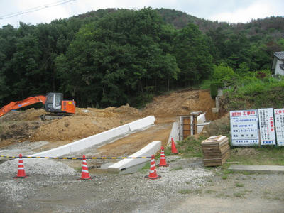 29e85cce.JPG