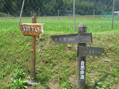 721fcff4.JPG