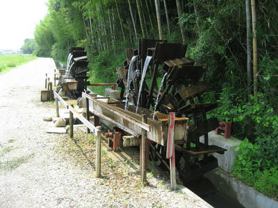 51cc158d.JPG