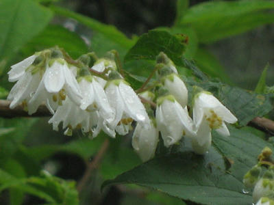 283d3172.JPG
