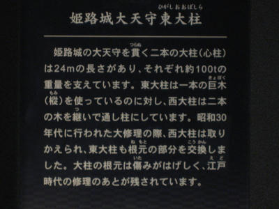 bf740d1e.JPG