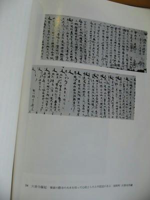 a4c8060e.JPG