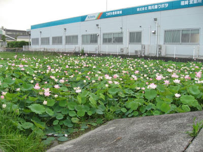 bcb84c18.JPG