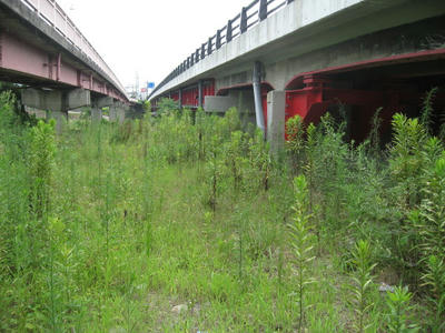 40e2fb08.JPG