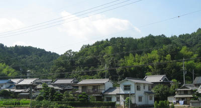 f93898e5.JPG