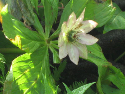 fa5ec431.JPG