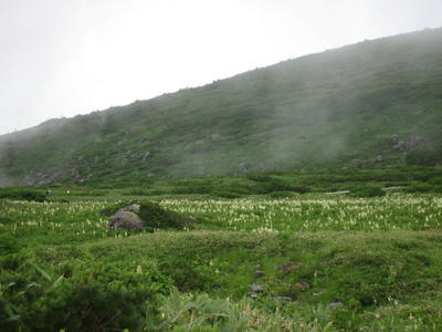 124_1.JPG