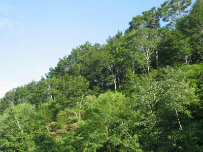 768c0e43.JPG