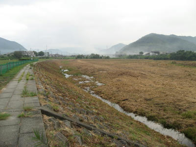 381ea147.JPG