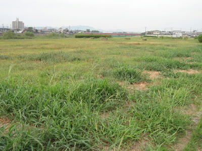 3f318084.JPG