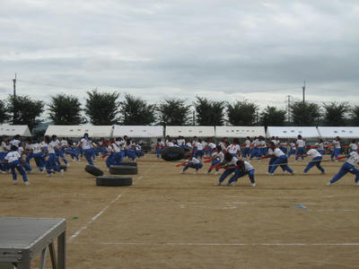 bcd71e16.JPG