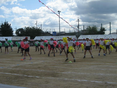 093764dc.JPG