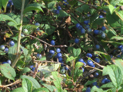 be06c044.JPG