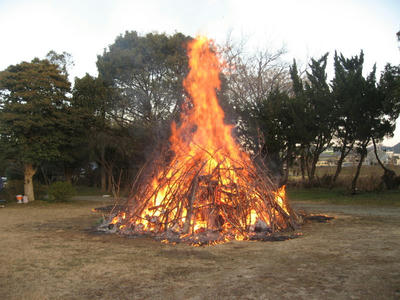 c2f680c5.JPG