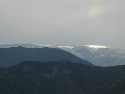 0305116c.JPG