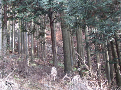 22f97412.JPG