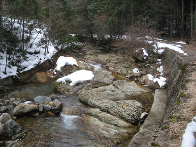 684ff6a8.JPG