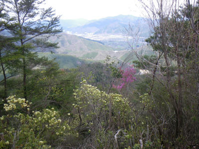 IMGP8073_1.JPG