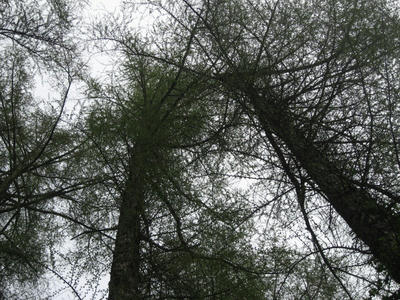 140_1.JPG