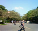 ueno8.jpg
