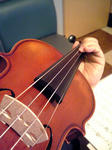 myviolin.jpg