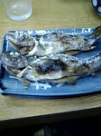 ashigakubo2.jpg
