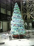tree071215.jpg