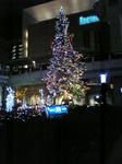 tree071219.jpg