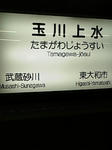tamagawajosui.jpg