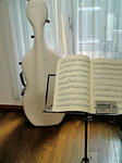 rentalroom080517.jpg