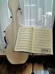 cello080607_1.jpg