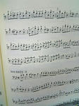 cello080607_2.jpg
