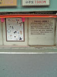 fujimidai080608.jpg