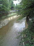 shakujiigawa080608.jpg