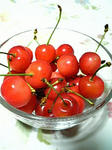 cherry.jpg