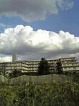 kumo080831.jpg