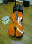mycello_081103.jpg