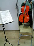cello090306.jpg