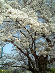 trip090406_4.jpg