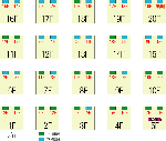 ERMAP.gif