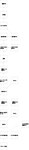 ALIMAP.png