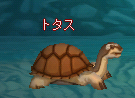 meisouki_238_totas.PNG