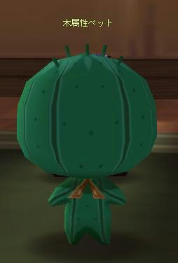meisouki_528_Back_of_treepet.JPG