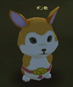meisouki_541_Ponsuke.JPG