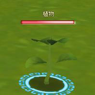 meisouki_545_Plant-01.JPG